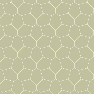 Flagstone Lijntekening - De Paal Designvloeren (1080x1080)