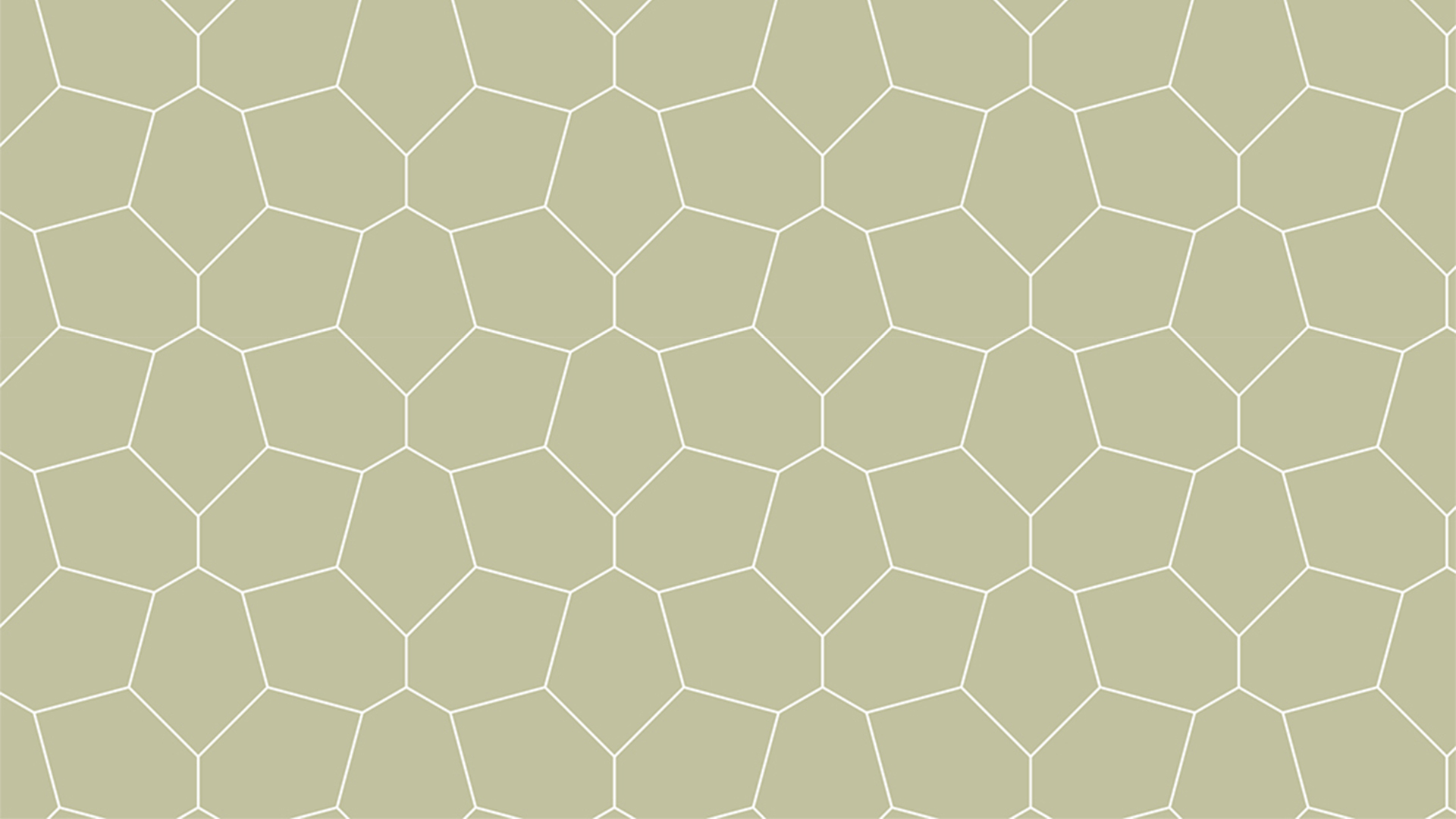 Flagstone Lijntekening - De Paal Designvloeren