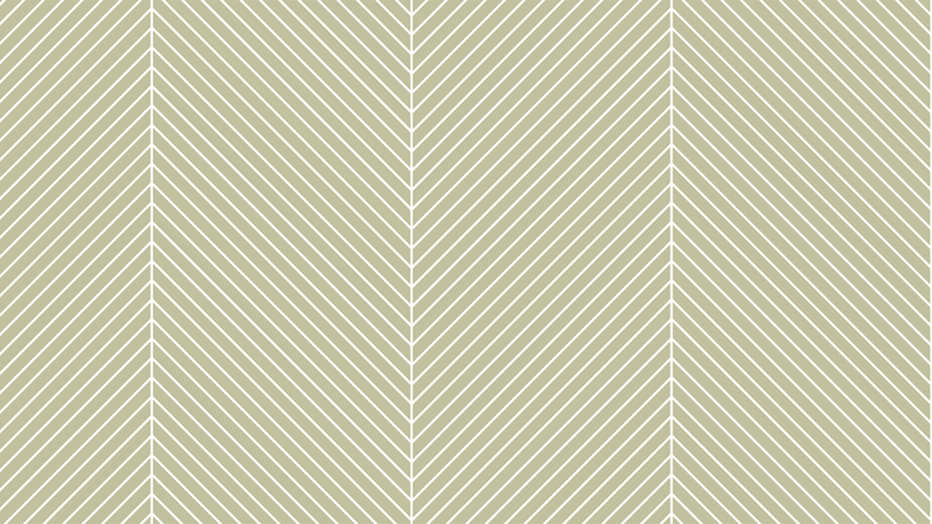 Taille Chevron Lijntekening - De Paal Designvloeren (1920x1080)